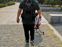 -永定河休闲森林公园