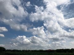 -荷塘月色湿地公园·向阳花洲