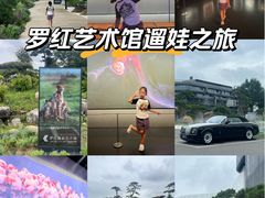 -罗红摄影艺术馆