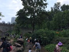 -重庆彩云湖湿地公园