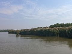-西青郊野公园