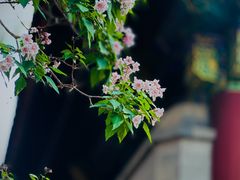 -颐和园