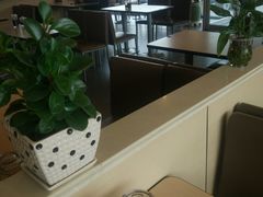 -李先生牛肉面大王(东营友谊广场店)