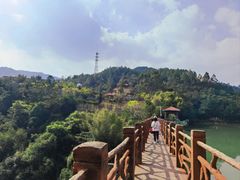 -广州白江湖森林公园