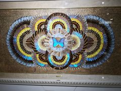 -上海昆虫博物馆