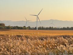 -野鸭湖国家湿地公园