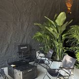 中山没有女孩能拒绝的Bistro🥂