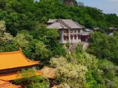 -高尔山公园