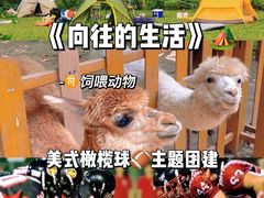 -沉浸北京·团建旅行·密室剧本杀·年会会议轰趴拓展