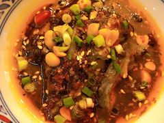 -铁公鸡·四川料理(天环广场店)
