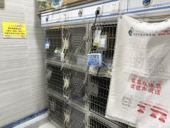 -瑞派名望志远动物医院·猫科·內科·异宠专科(直港大道店)