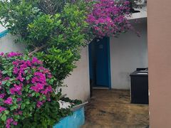 -马大胡子清真西北菜