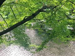 -苏堤停车场