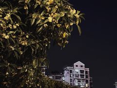 -咱家小院(汉中门店)