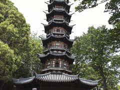 -上海佘山国家森林公园西佘山园