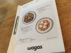 -Wagas沃歌斯(汇智店)