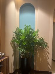 点击看大图 -娇玫荟SPA