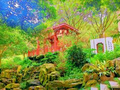 -广州市白云山风景名胜区