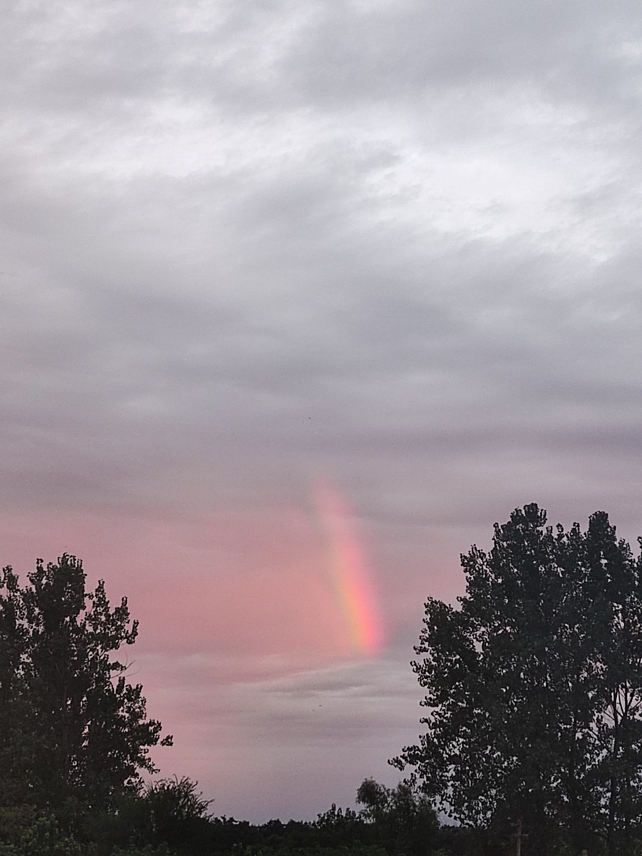 遇上彩虹吃定彩虹96