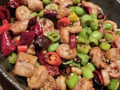 -老板恋上鱼(恒隆广场店)