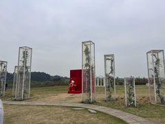-空港花田景区