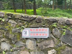 -都江堰中华大熊猫苑