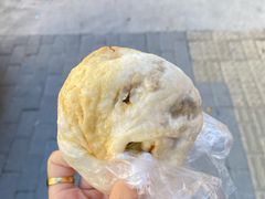 -白杨包子(总店)