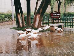 -西安市长乐公园