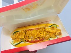 墨西哥沙沙狗-热狗巴士hotdog bus
