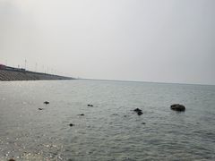 -潍坊欢乐海沙滩景区