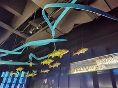 -同济大学四平路校区深海探索馆