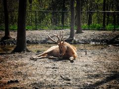 -溱湖国家湿地公园