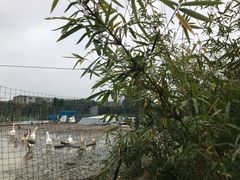 -两户人家农家乐