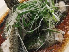 清蒸沙巴龙趸-稻香酒家·33年老字号·港式粤菜(富邦中心店)