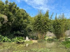 -广州市白云山风景名胜区