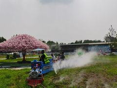 -北京鹿世界主题园