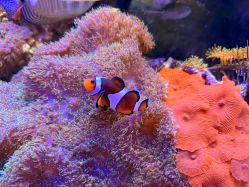 -Zoolung Zoolung动物主题公园(海信广场店)