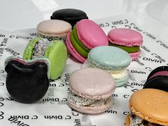 -威利旺卡烘焙西点蛋糕培训(朝阳校区)