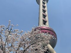 -东方明珠广播电视塔