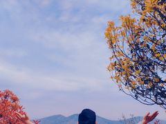 -缥缈峰景区