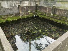 -王氏凉糕(总店)