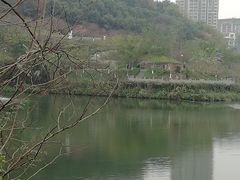 -重庆彩云湖湿地公园