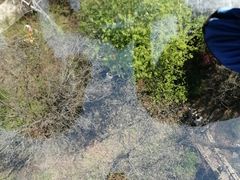 -香炉山国家森林公园