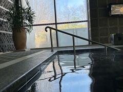 -和园景逸大酒店朗月汤泉