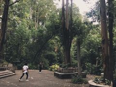 -南岗山公园