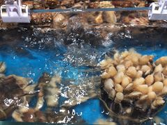 -盒马鲜生(曜一城店)