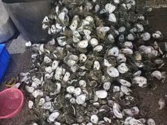-濠轩阁特色生蚝火锅(水湾路店)