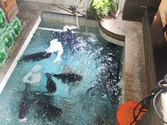 -旭龙鱼头王(航华店)