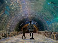 -华夏文旅海洋公园