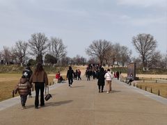 -汉长安城未央宫国家考古遗址公园